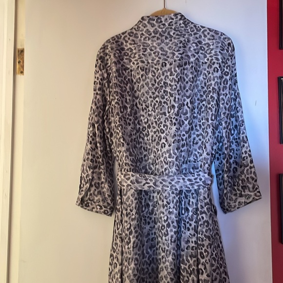 Shirtwaist Silk Dress - Picture 3 of 6